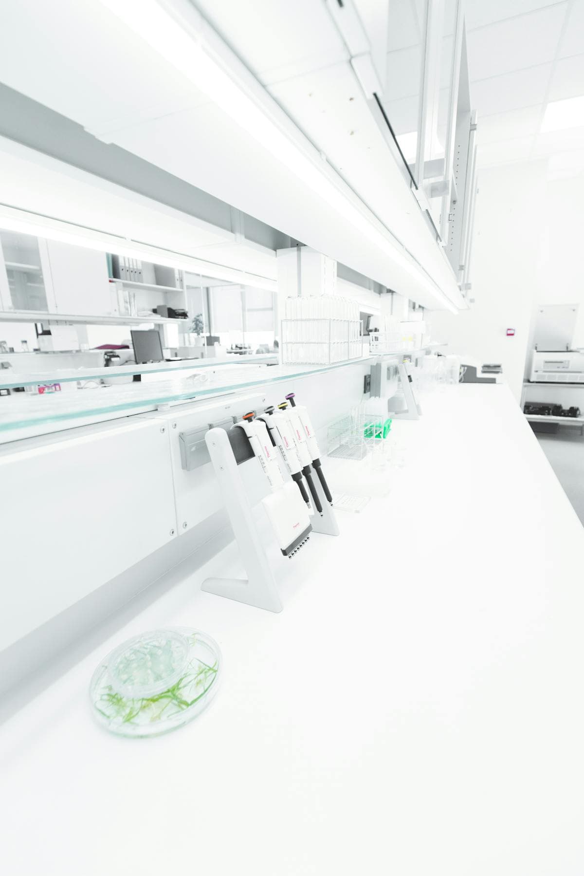cell-culture