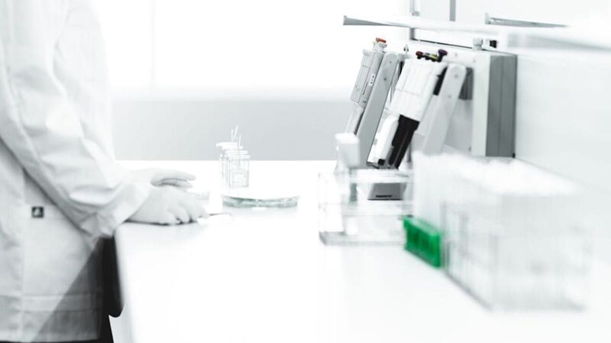 lab-bench