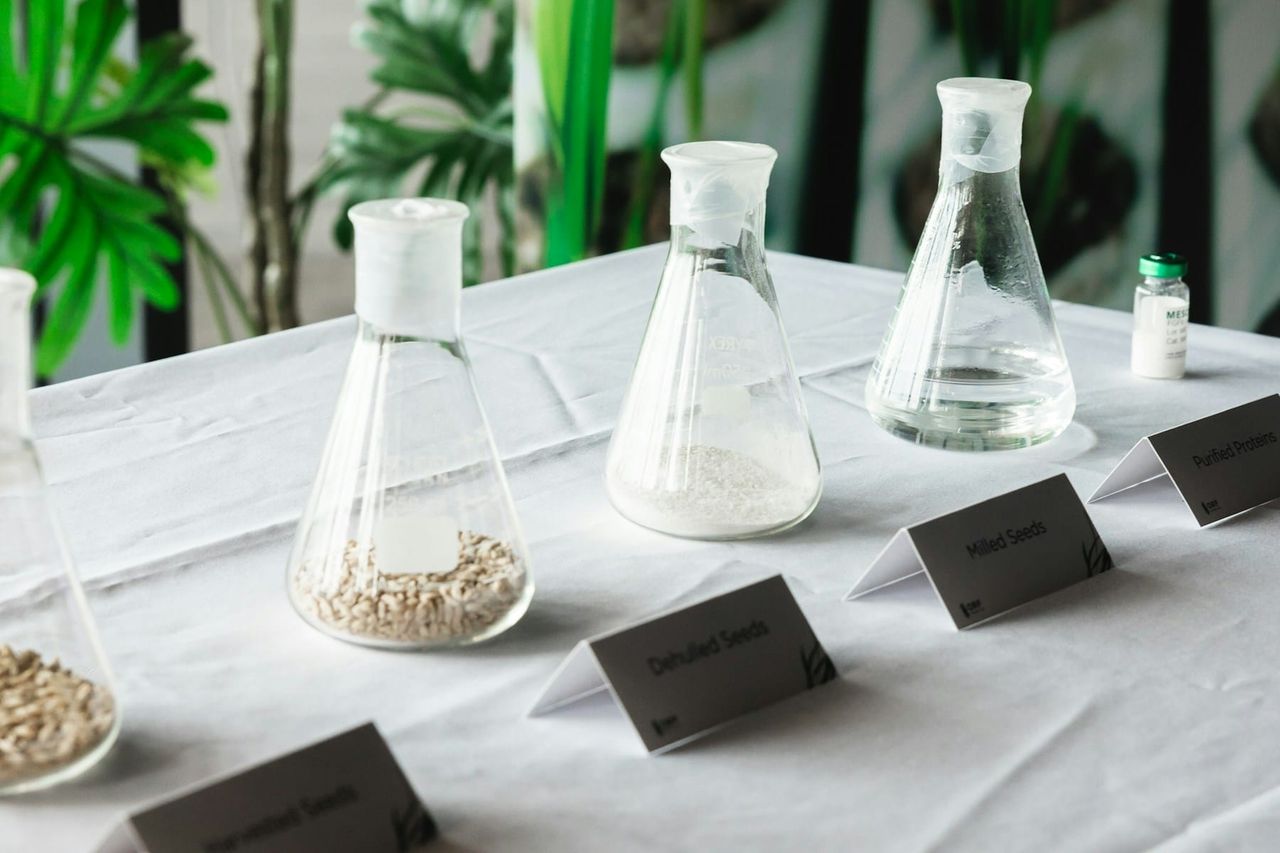 barley-to-protein-process