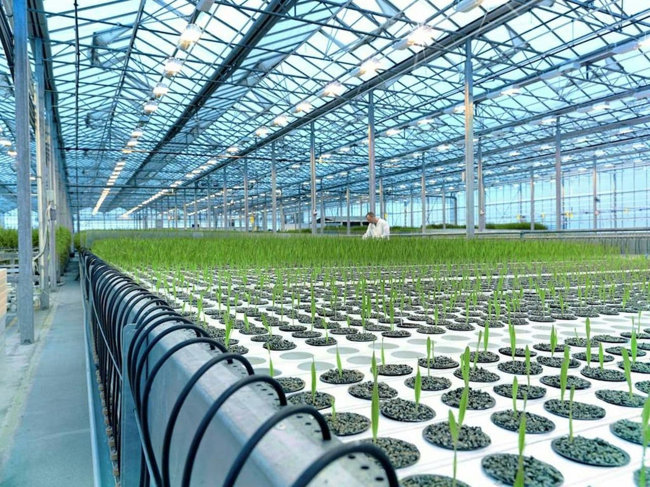 media-green-by-iceland-orf-genetics-growing-innovation